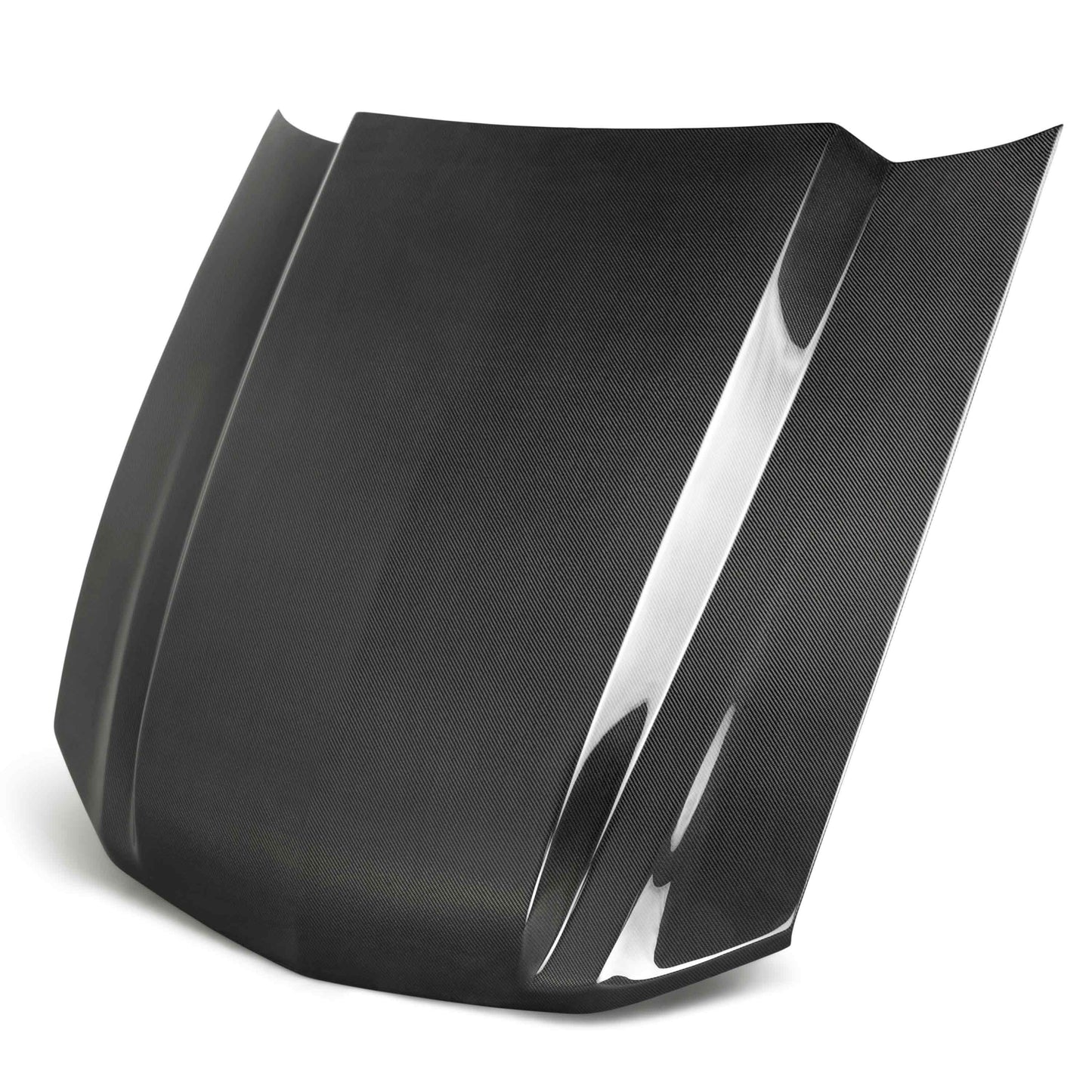 2010-2012 Ford Mustang Type-CJ Hood - Anderson Composites - AC-HD10FDMU-CJ