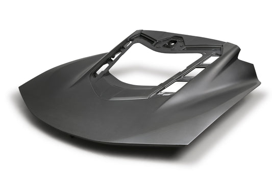 2008-2014 Dodge Challenger  Bumper Light Surround Anderson Composites AC-TL20CHC8-DRY
